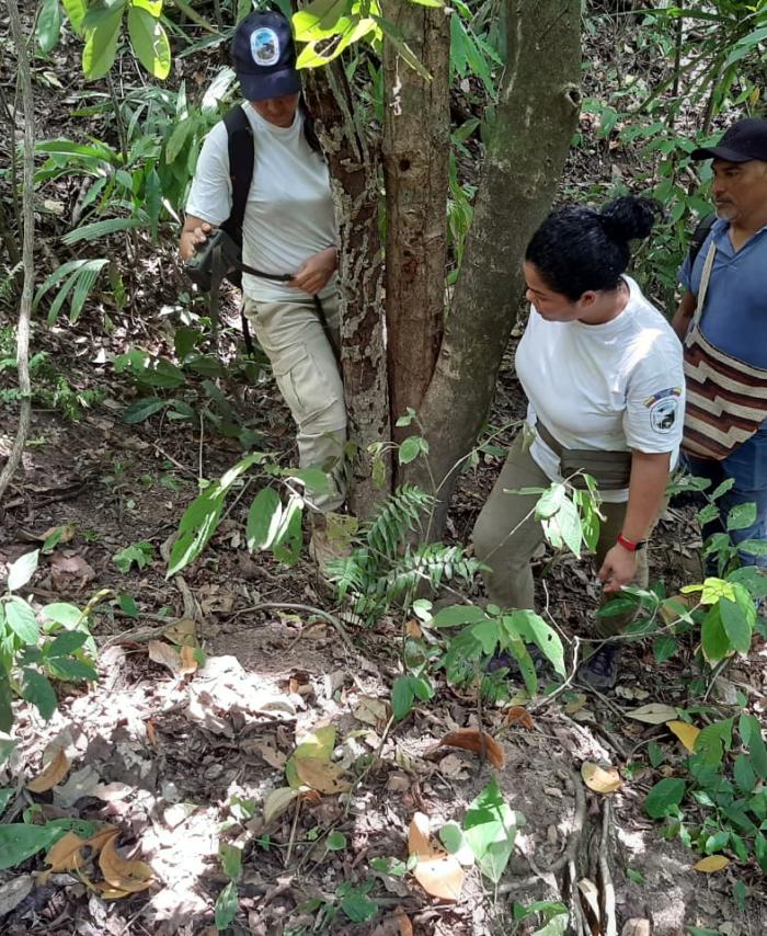 Avistamiento Parque Tayrona