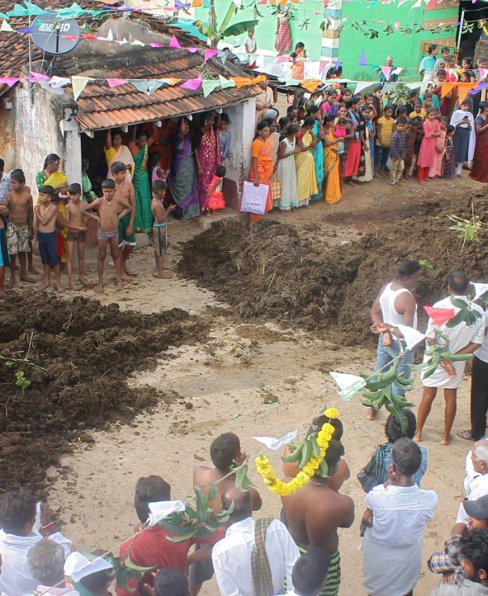 Batalla de excrementos de vaca en la India