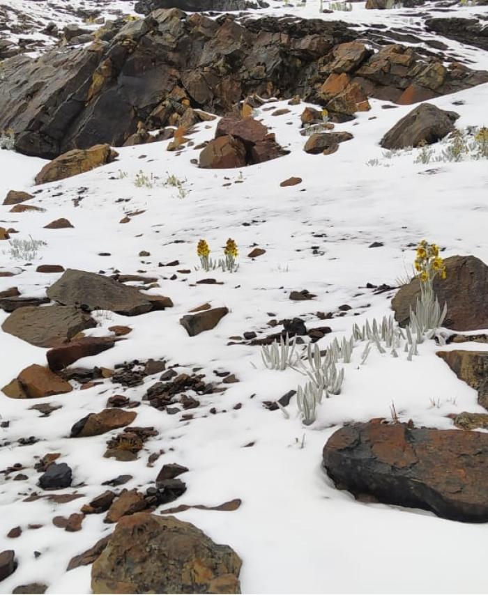 Nevada en Parque Natural de Boyacá