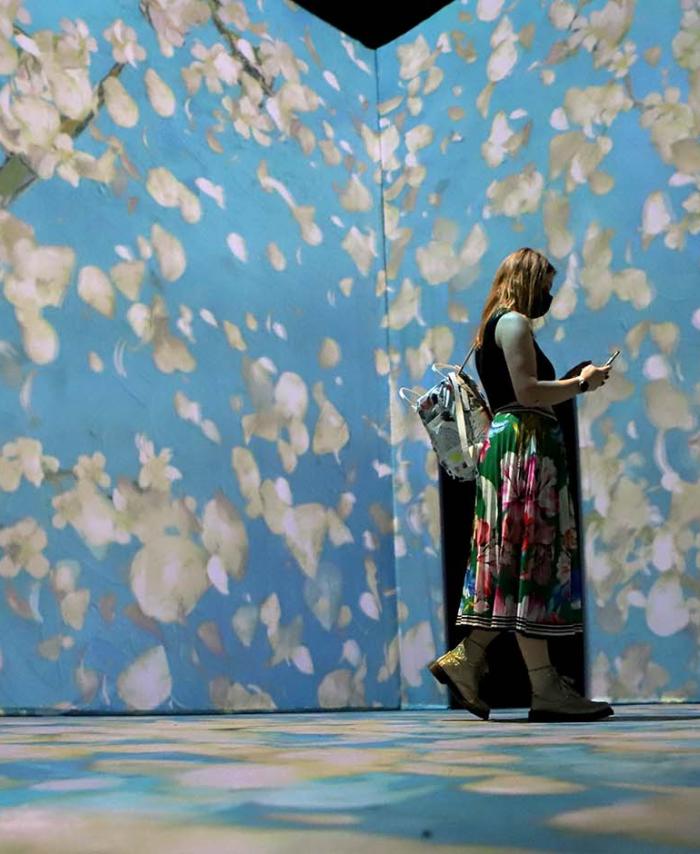 Exposición Beyond Van Gogh