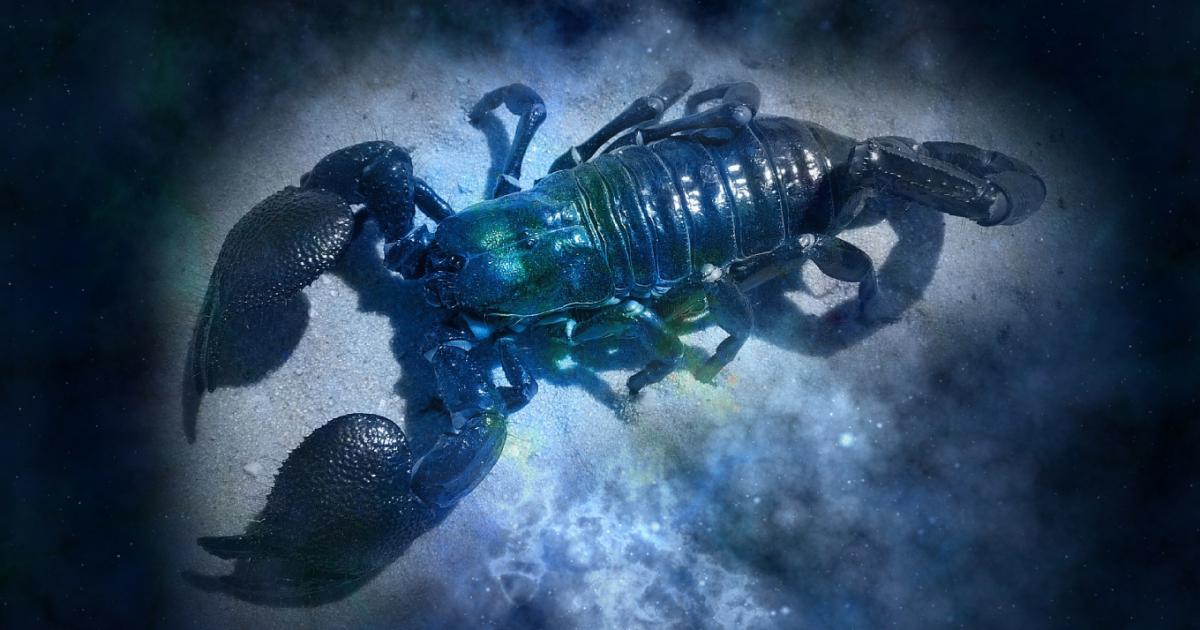 Octubre, el mes de la metamorfosis para Escorpio: predicciones astrológicas