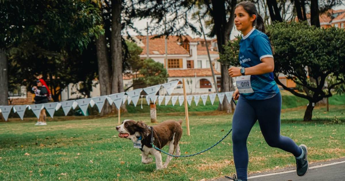 Primera carrera recreativa de Navidad para mascotas: esto es lo que debe saber